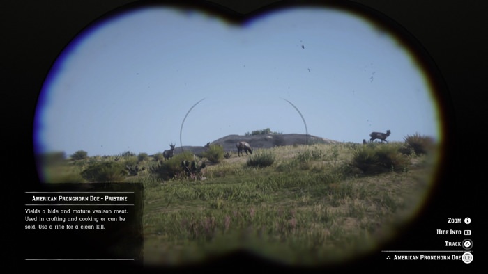 Studying wild animals through the game's binoculars.